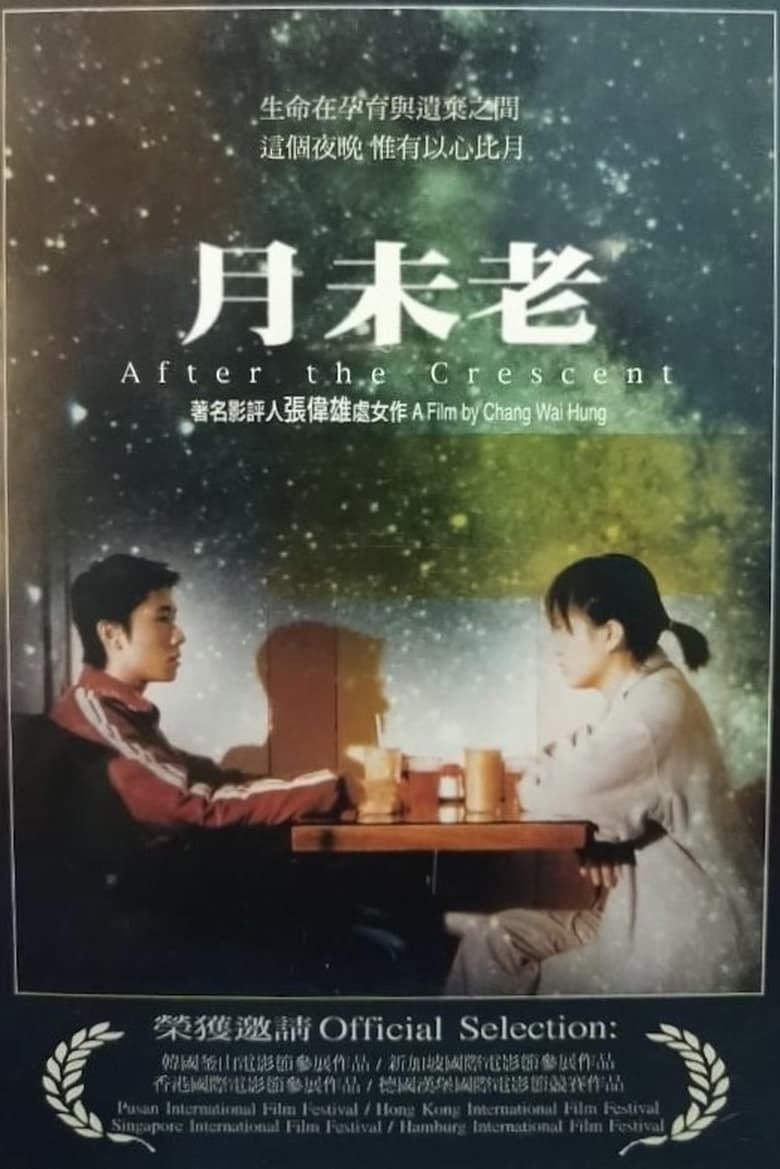 Poster of After the Crescent