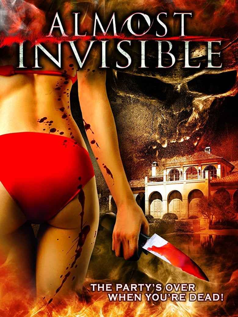 Poster of Almost Invisible