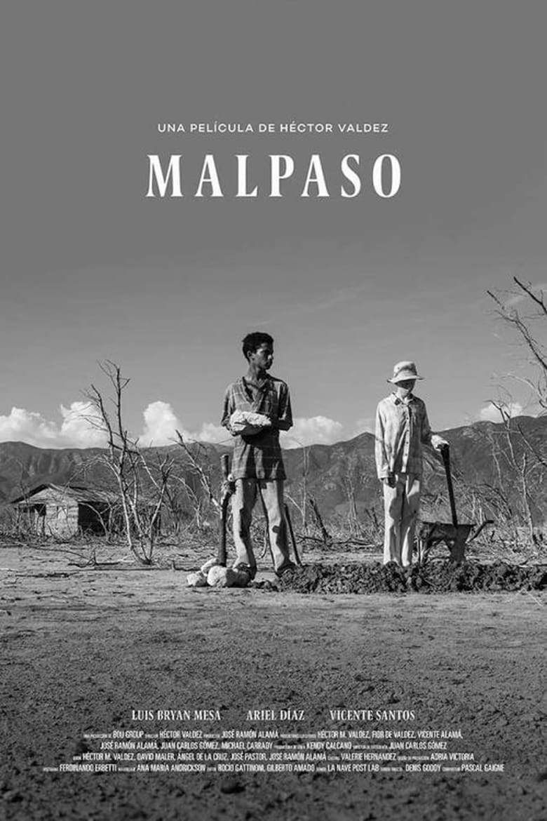 Poster of Malpaso