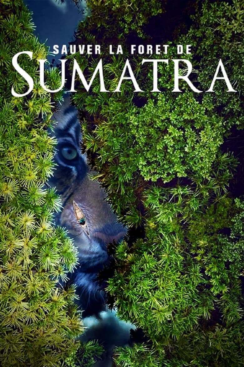 Poster of Save the Sumatran Forest