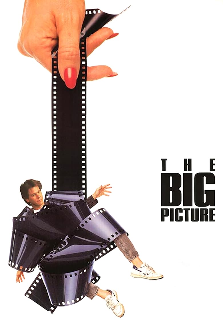 Poster of The Big Picture