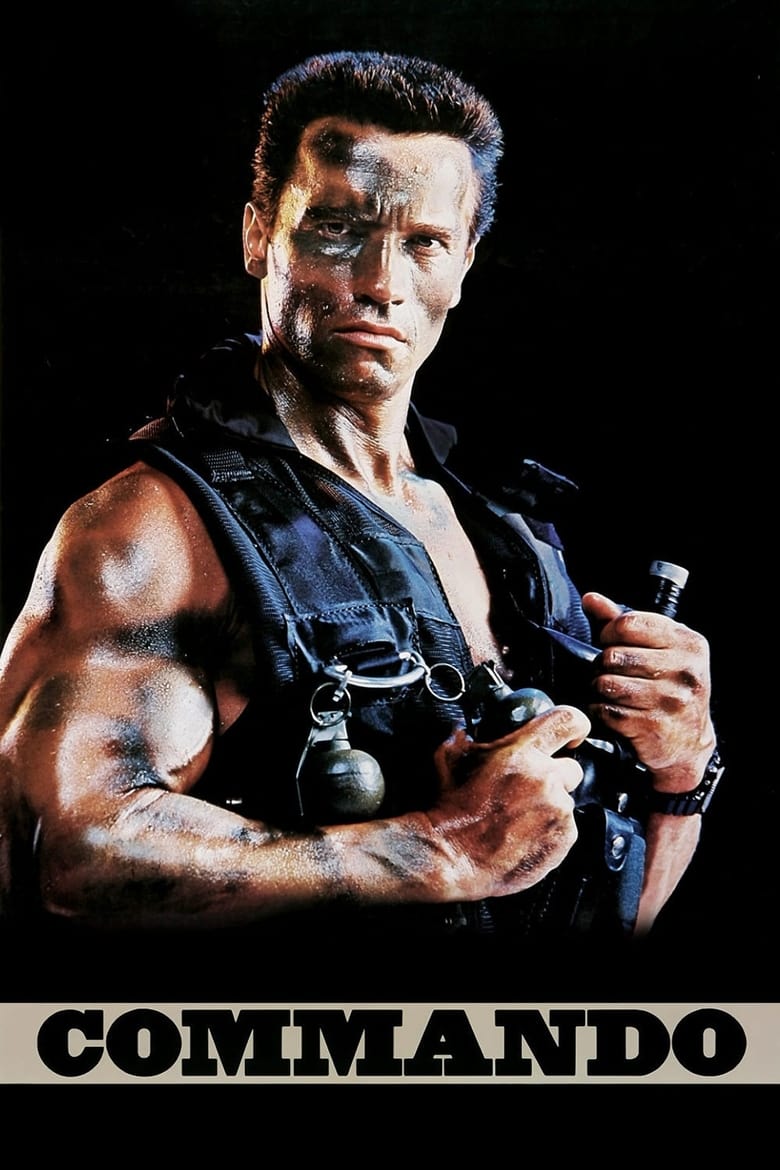 Poster of Commando