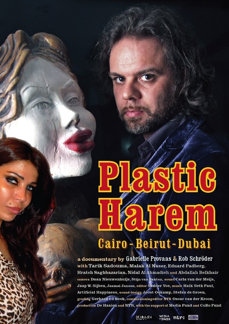 Poster of Plastic Harem