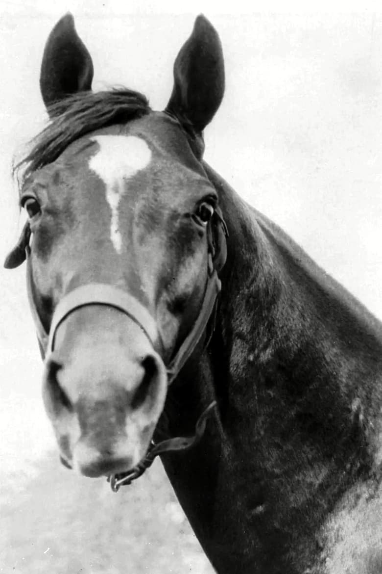 Portrait of Man o' War