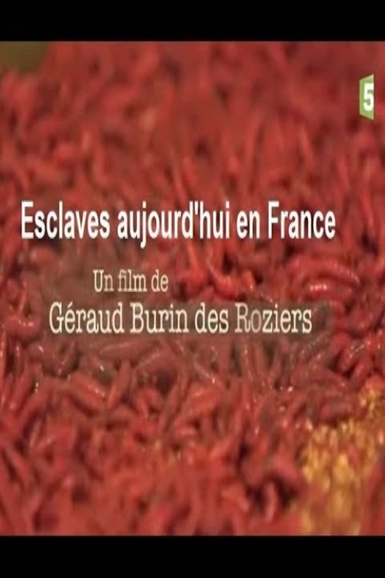 Poster of Esclaves aujourd'hui en France