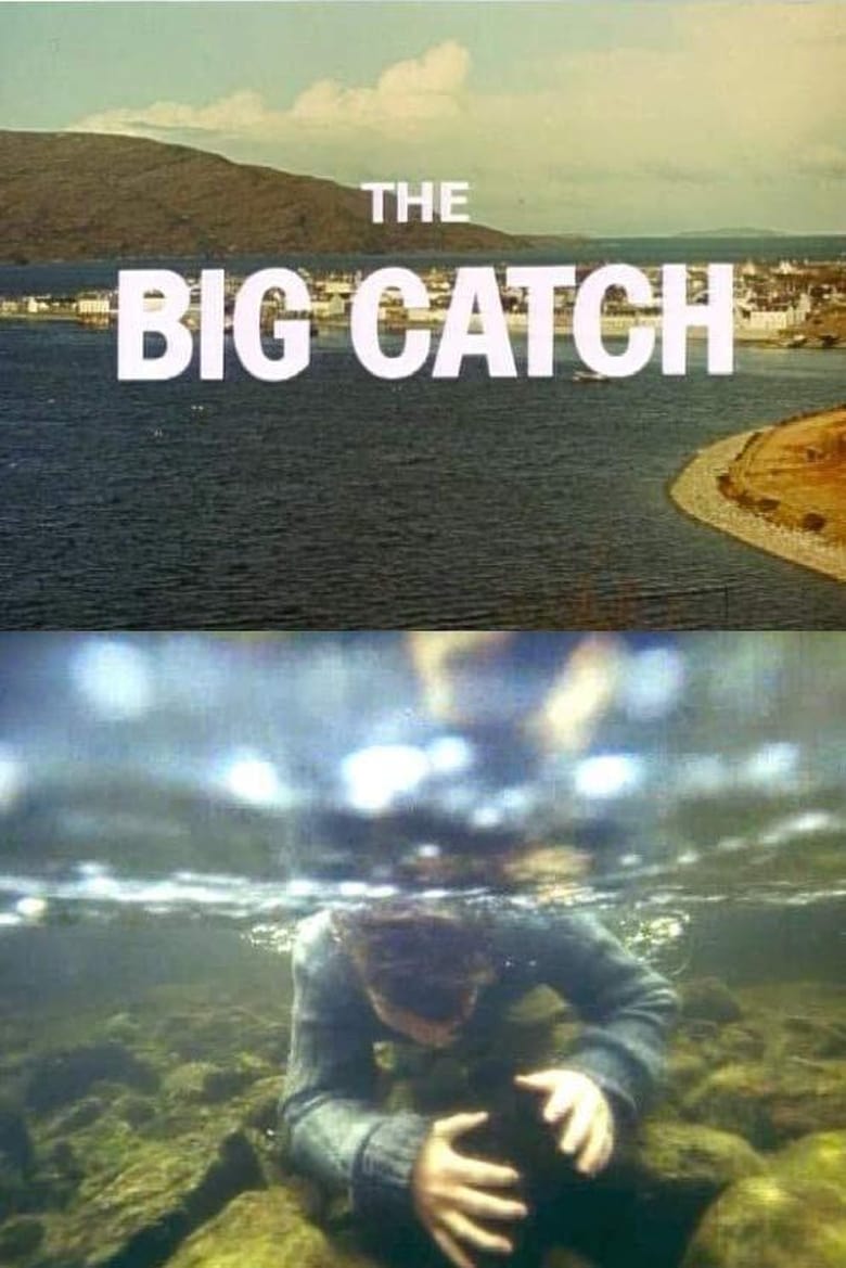 Poster of The Big Catch