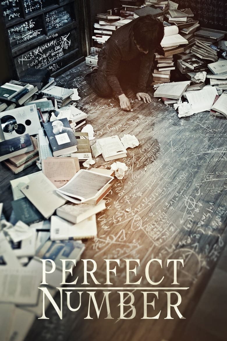 Poster of Perfect Number