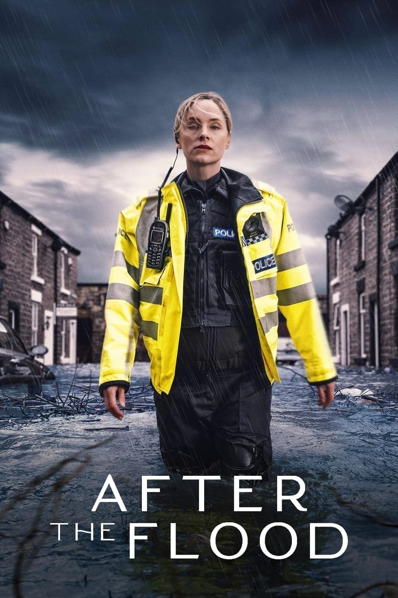 Poster of After the Flood