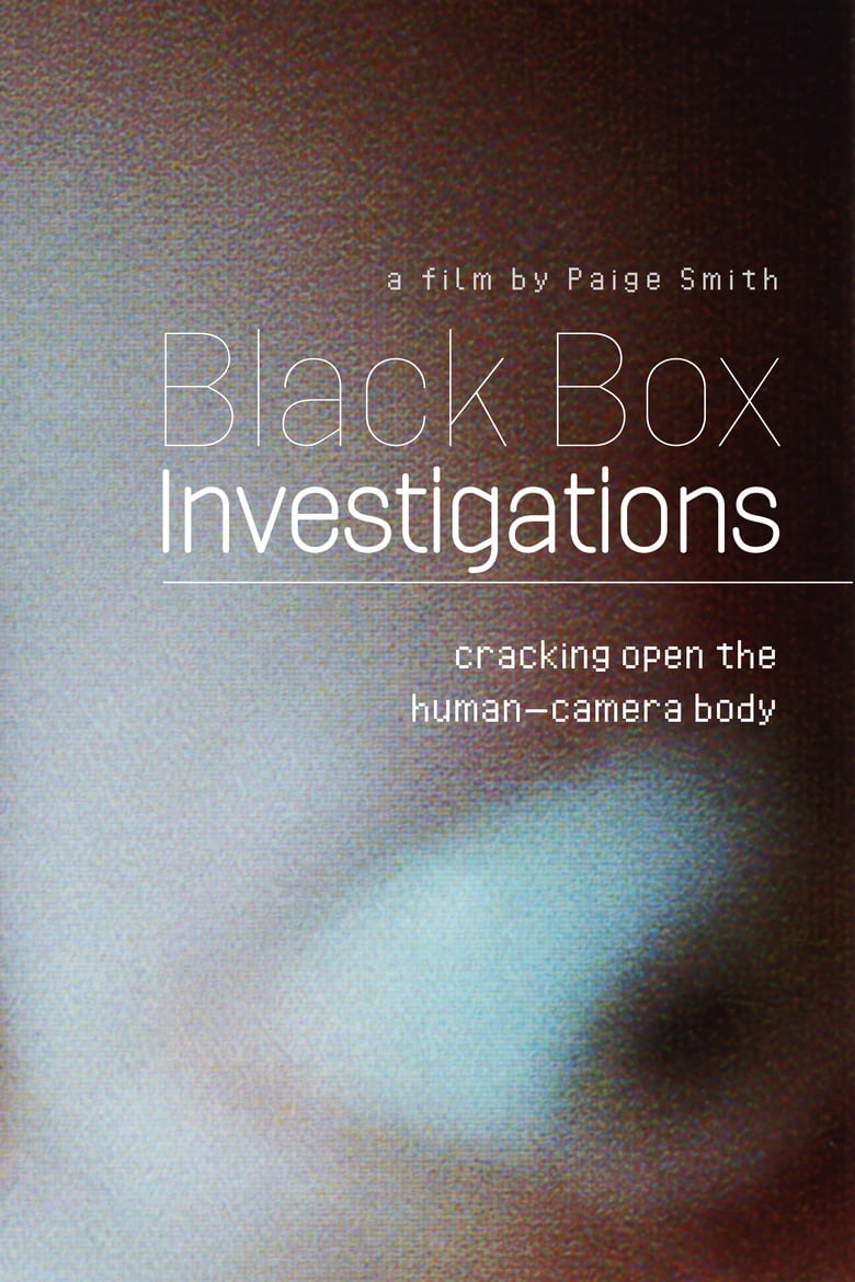 Poster of Black Box Investigations