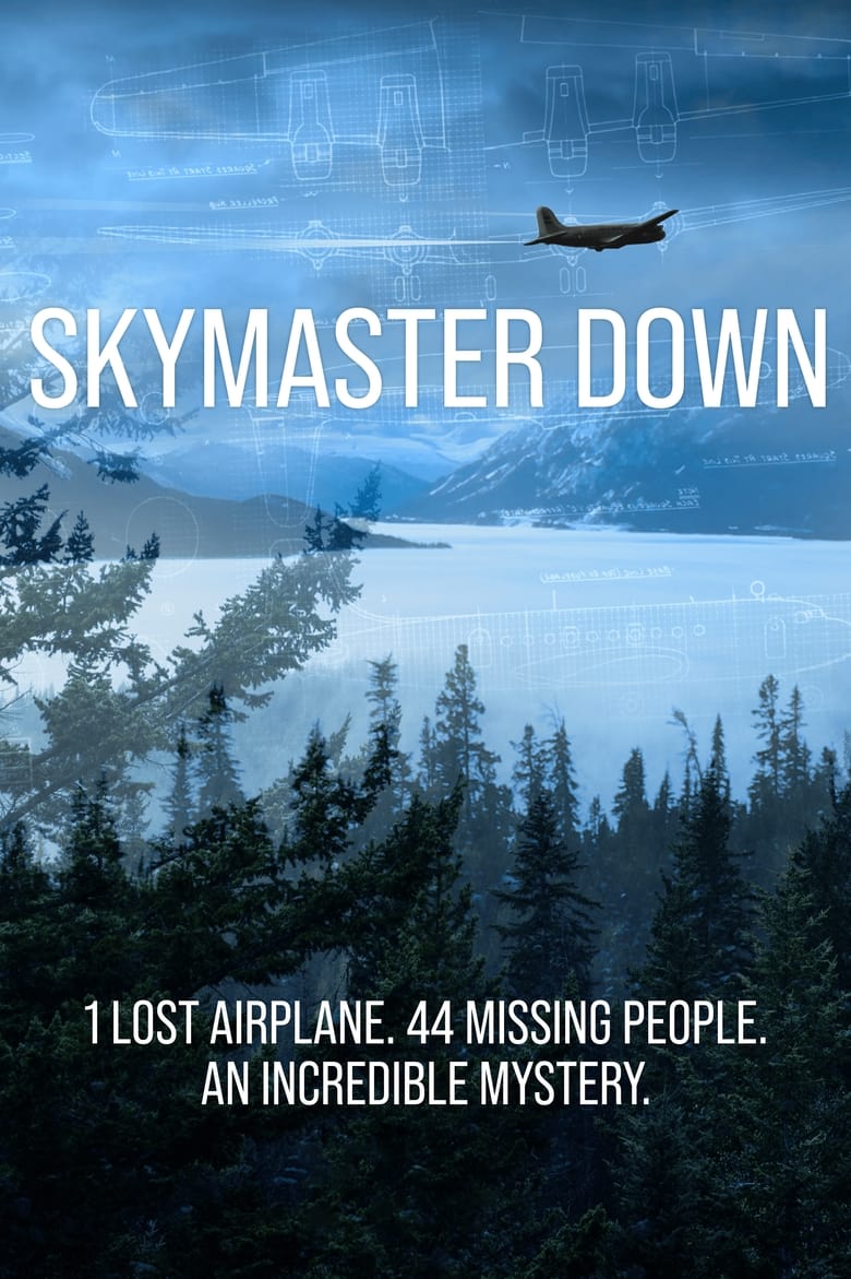 Poster of Skymaster Down