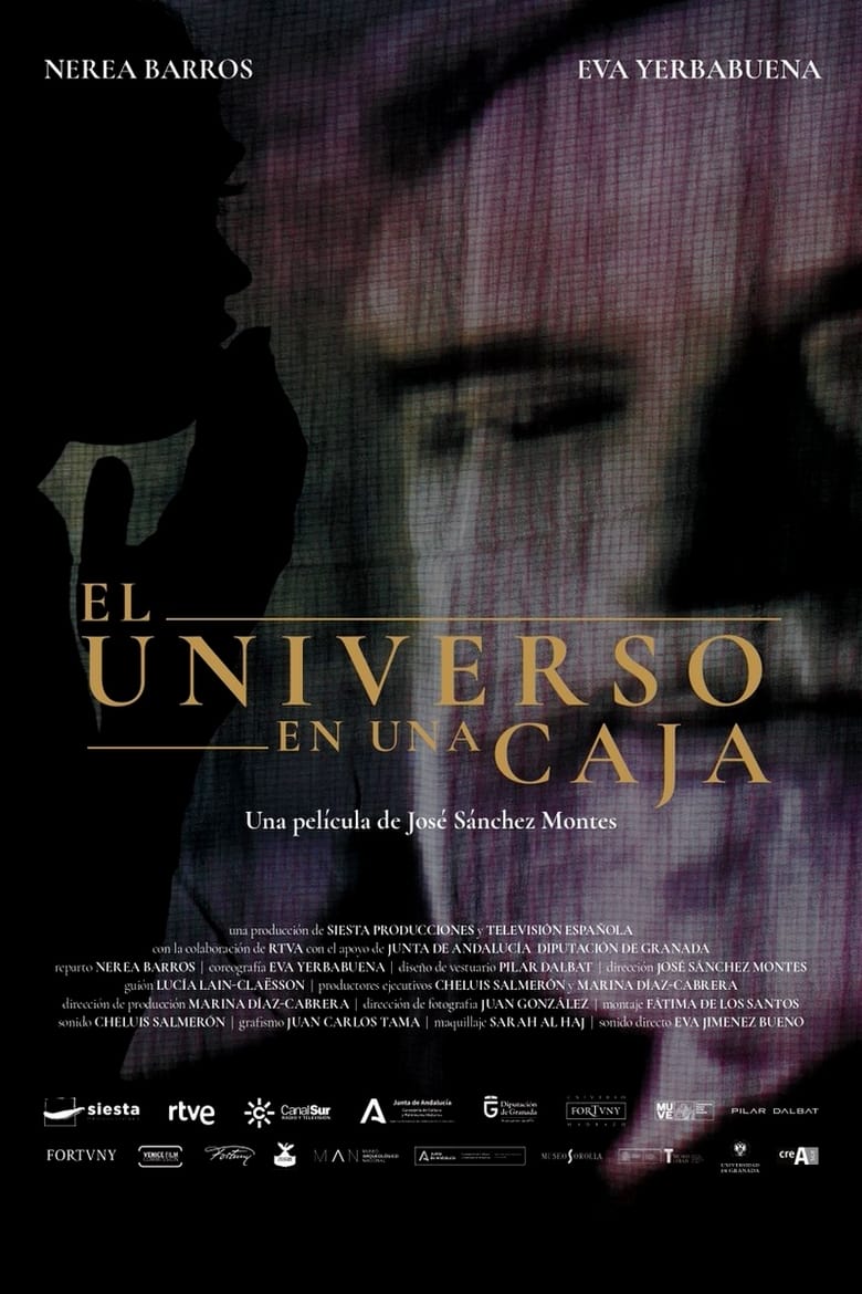 Poster of El universo en una caja