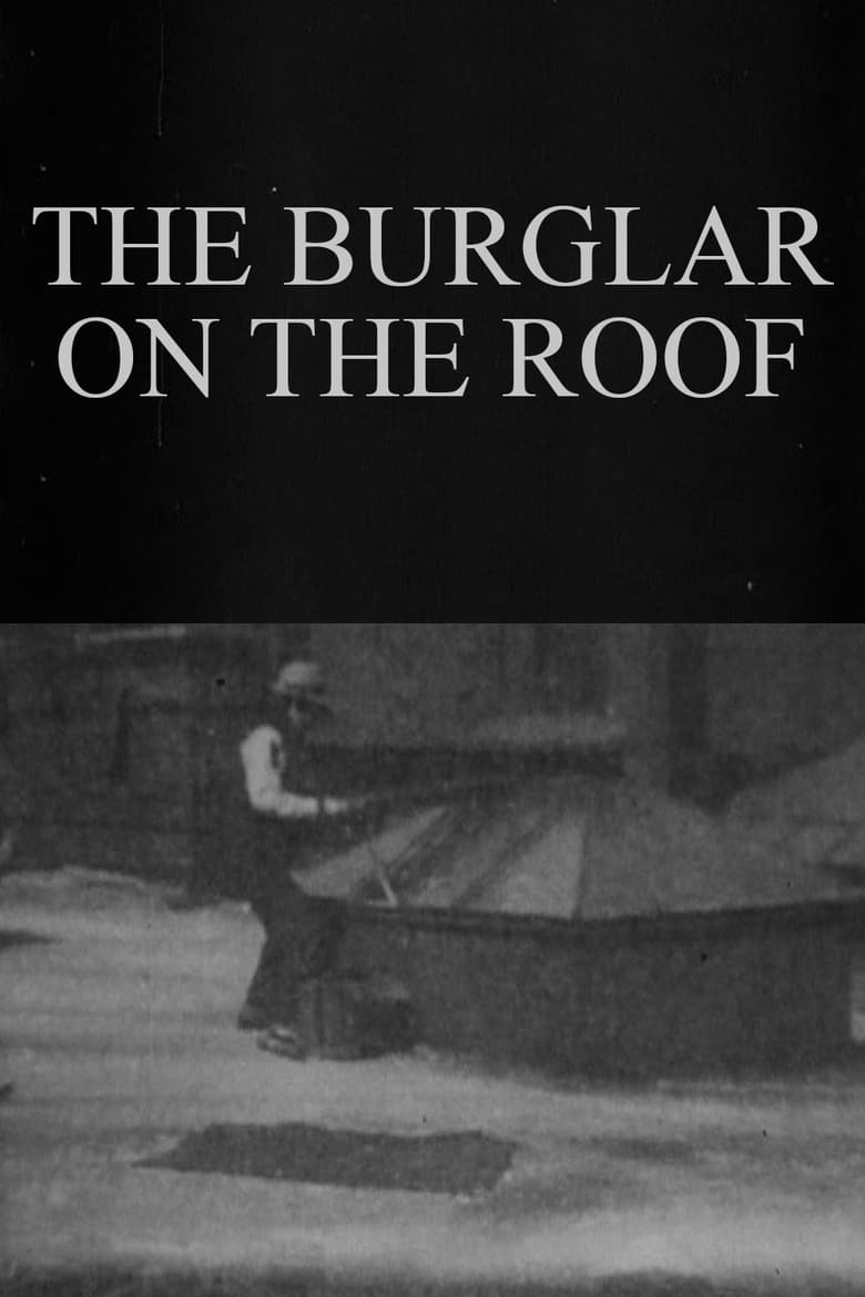 Poster of The Burglar on the Roof