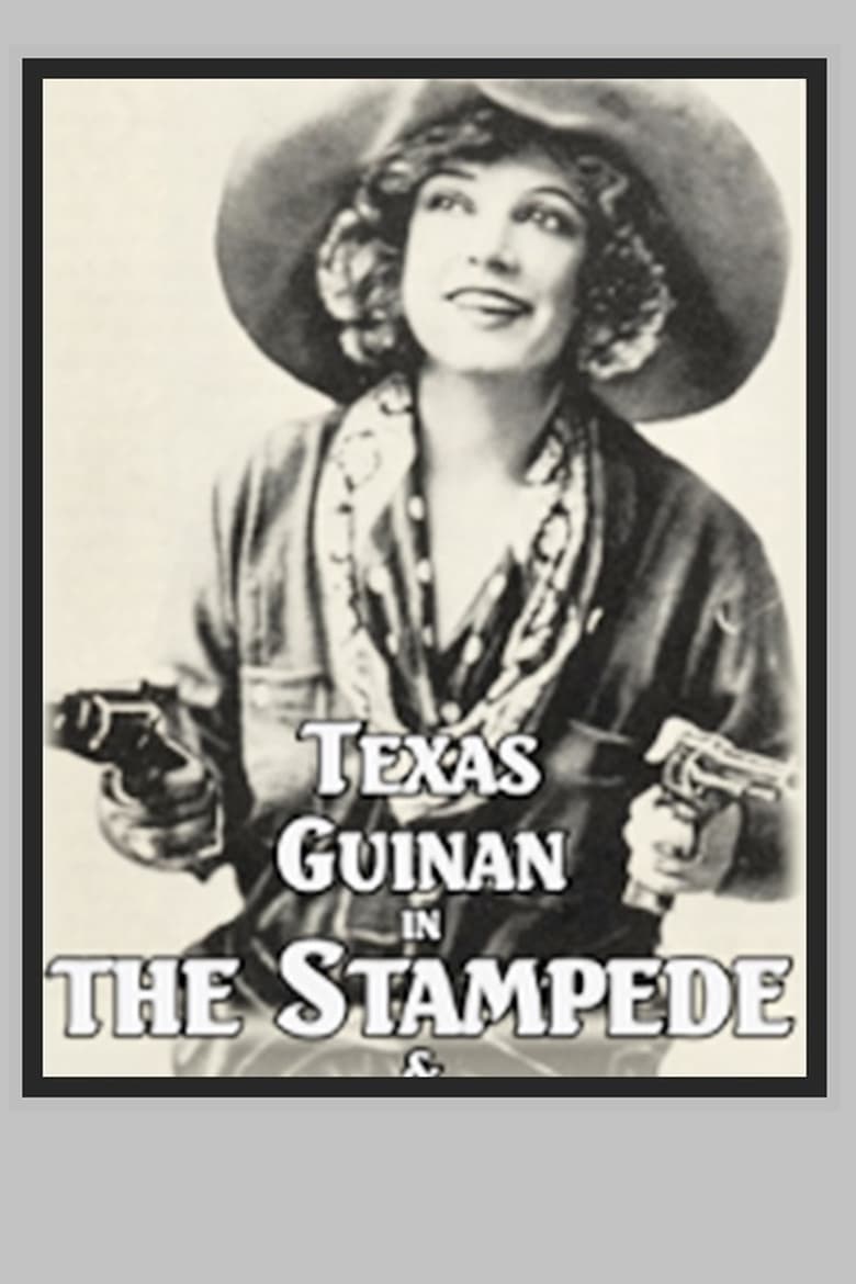 Poster of The Stampede