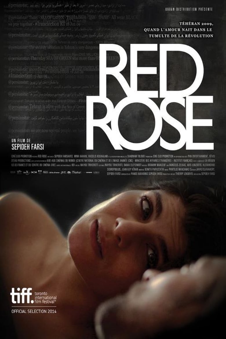 Poster of Red Rose