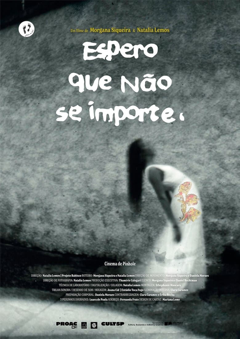 Poster of Espero Que Não Se Importe