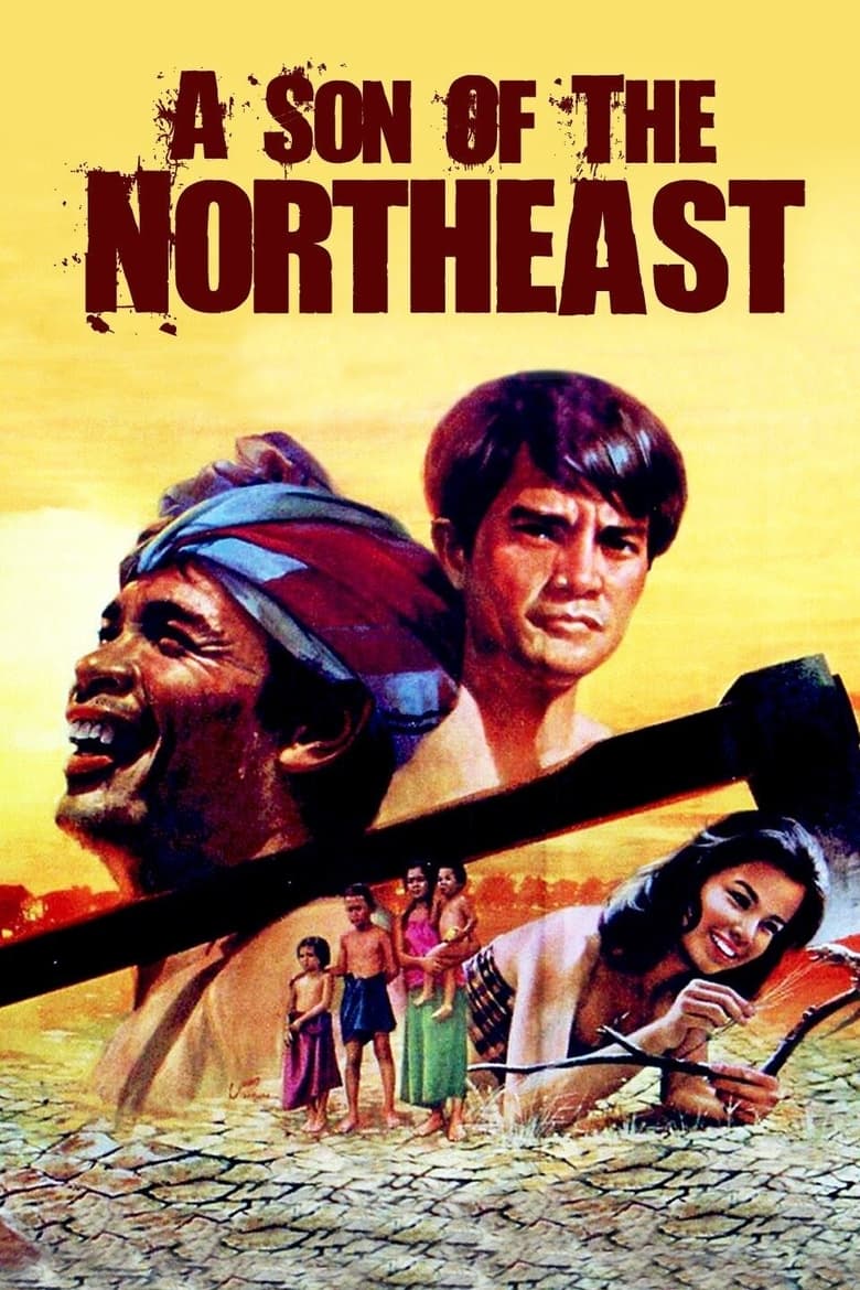 Poster of Son of the Northeast