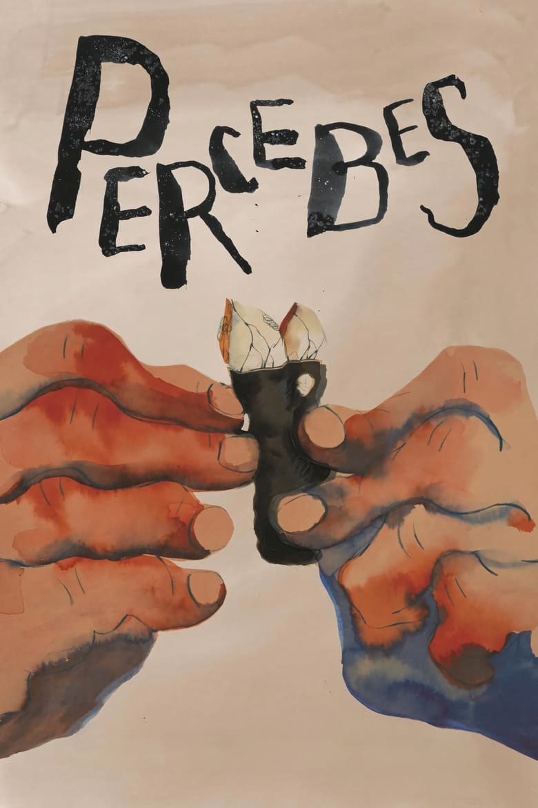 Poster of Percebes