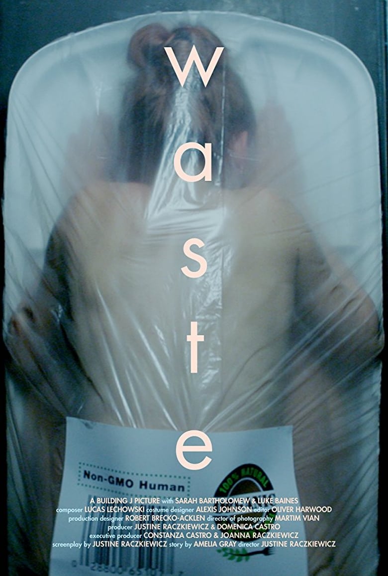 Poster of Waste