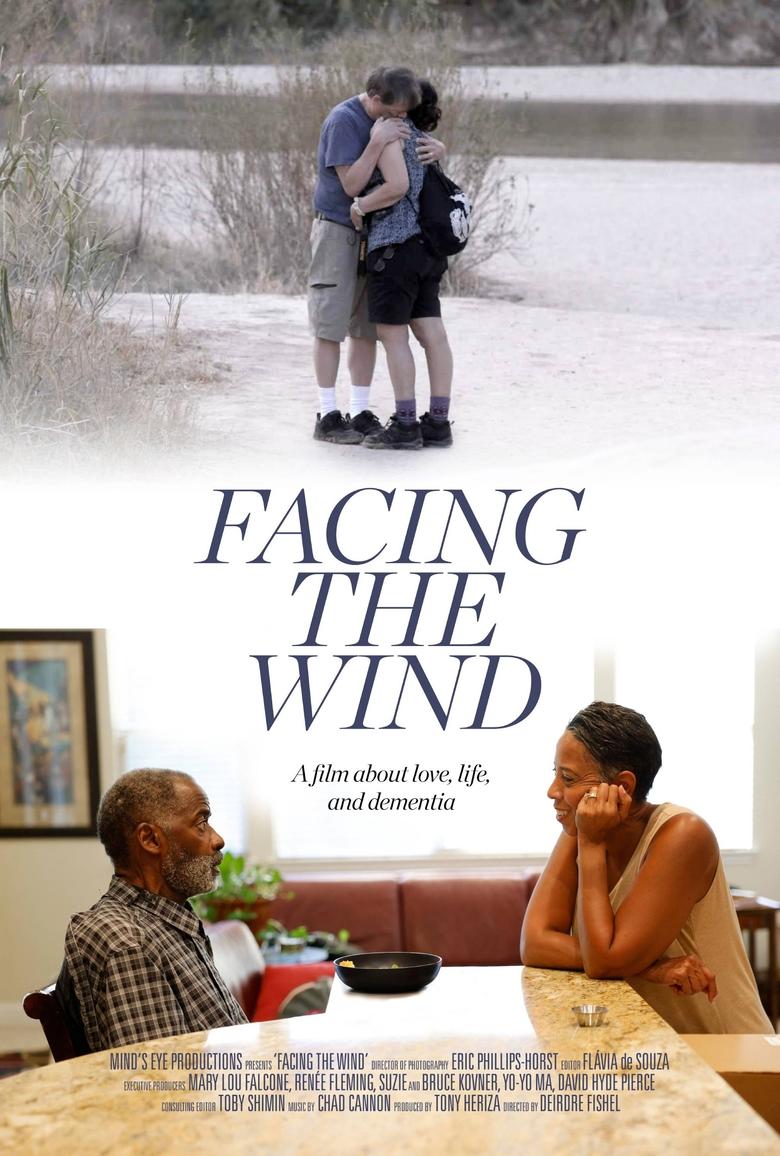 Poster of Facing the Wind