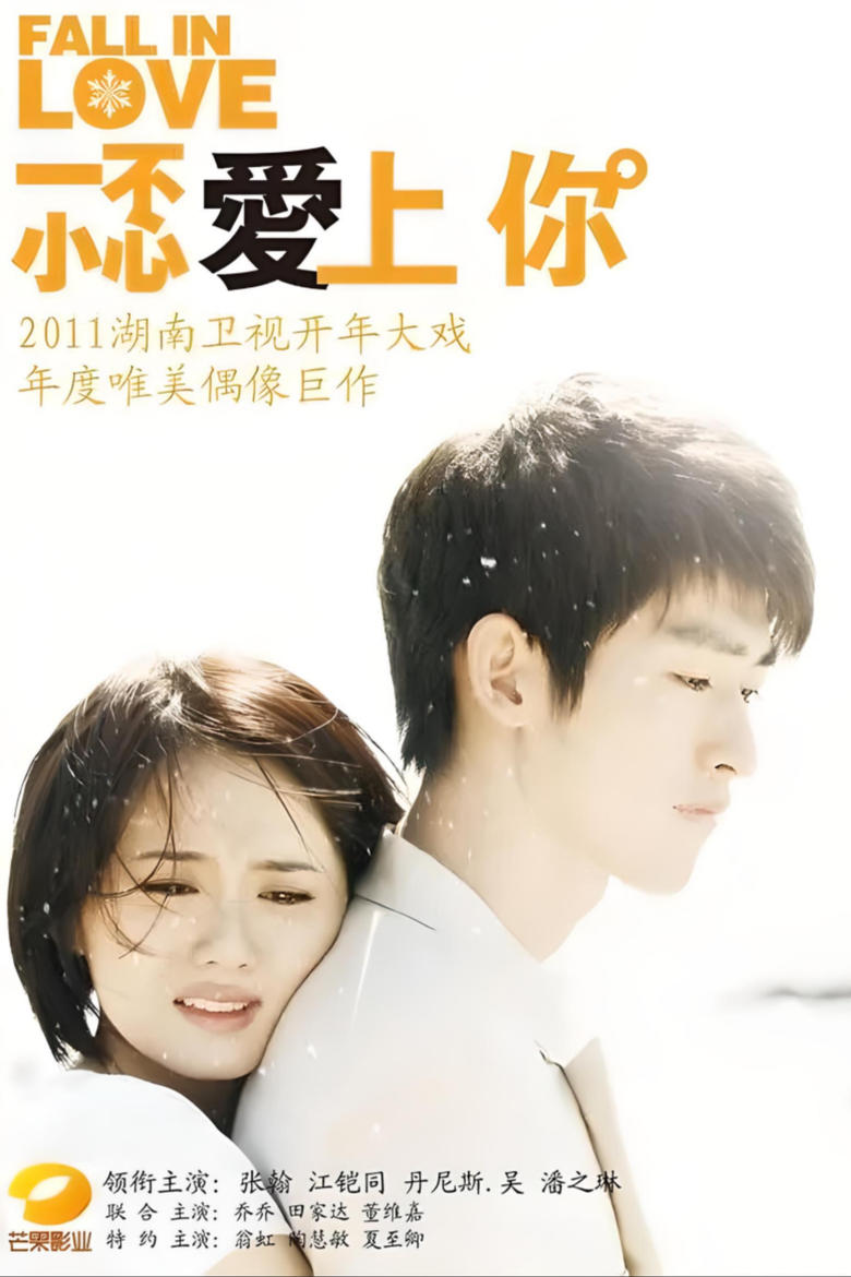 Poster of 一不小心爱上你 (2010)