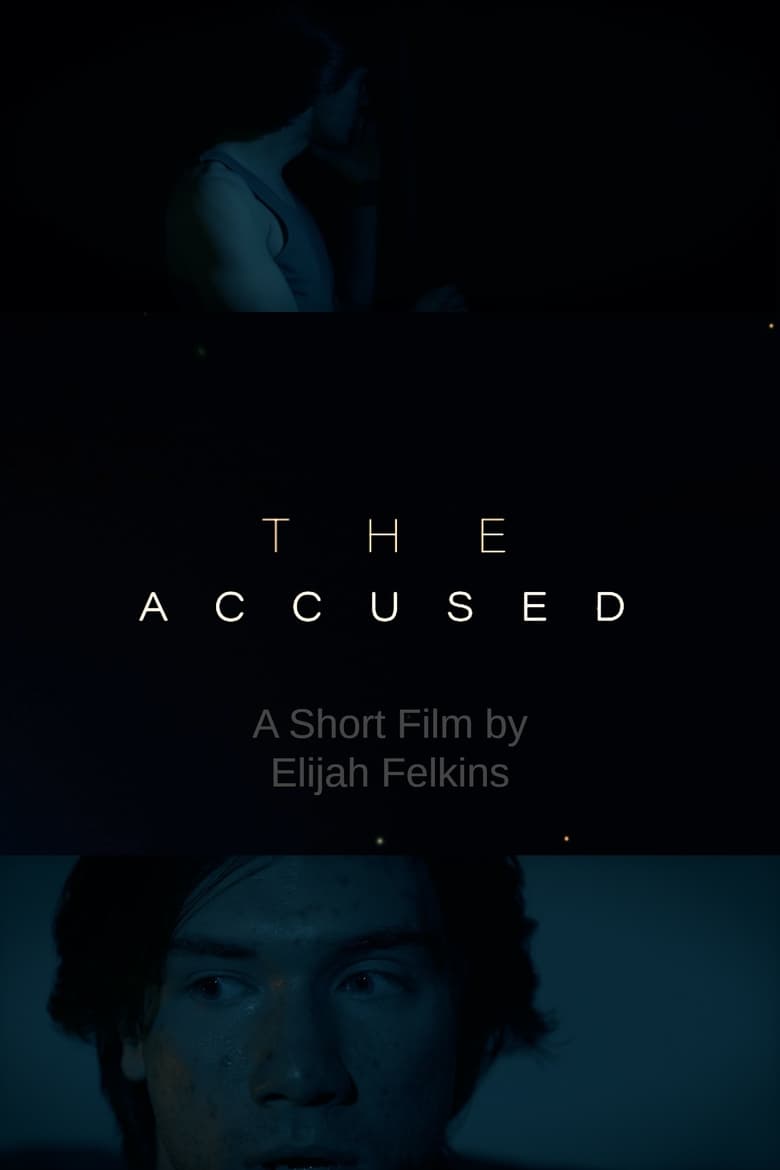 Poster of The Accused