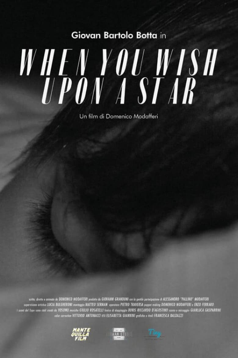 Poster of When You Wish Upon a Star