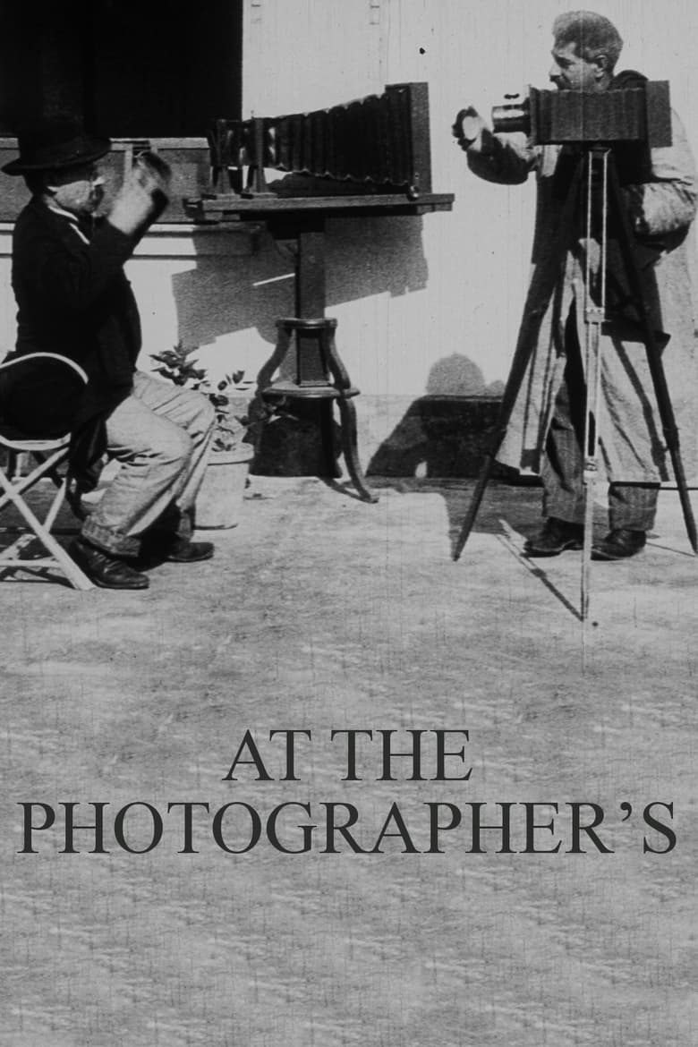 Poster of At the Photographer's