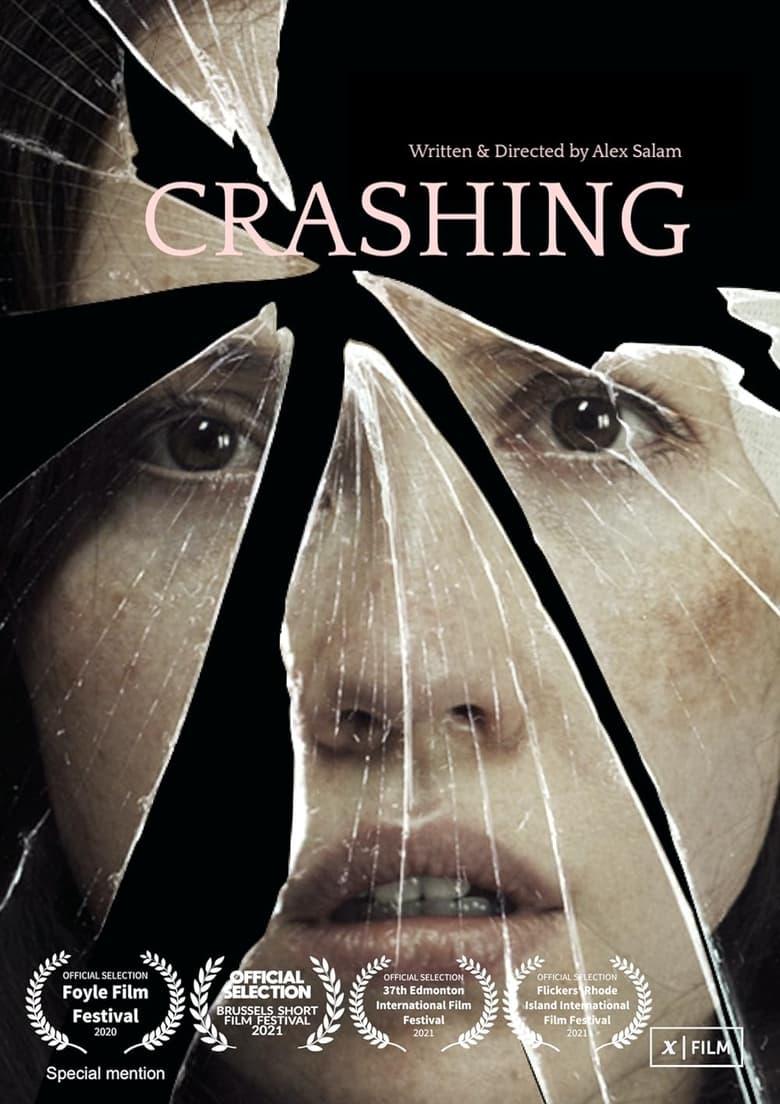 Poster of Crashing