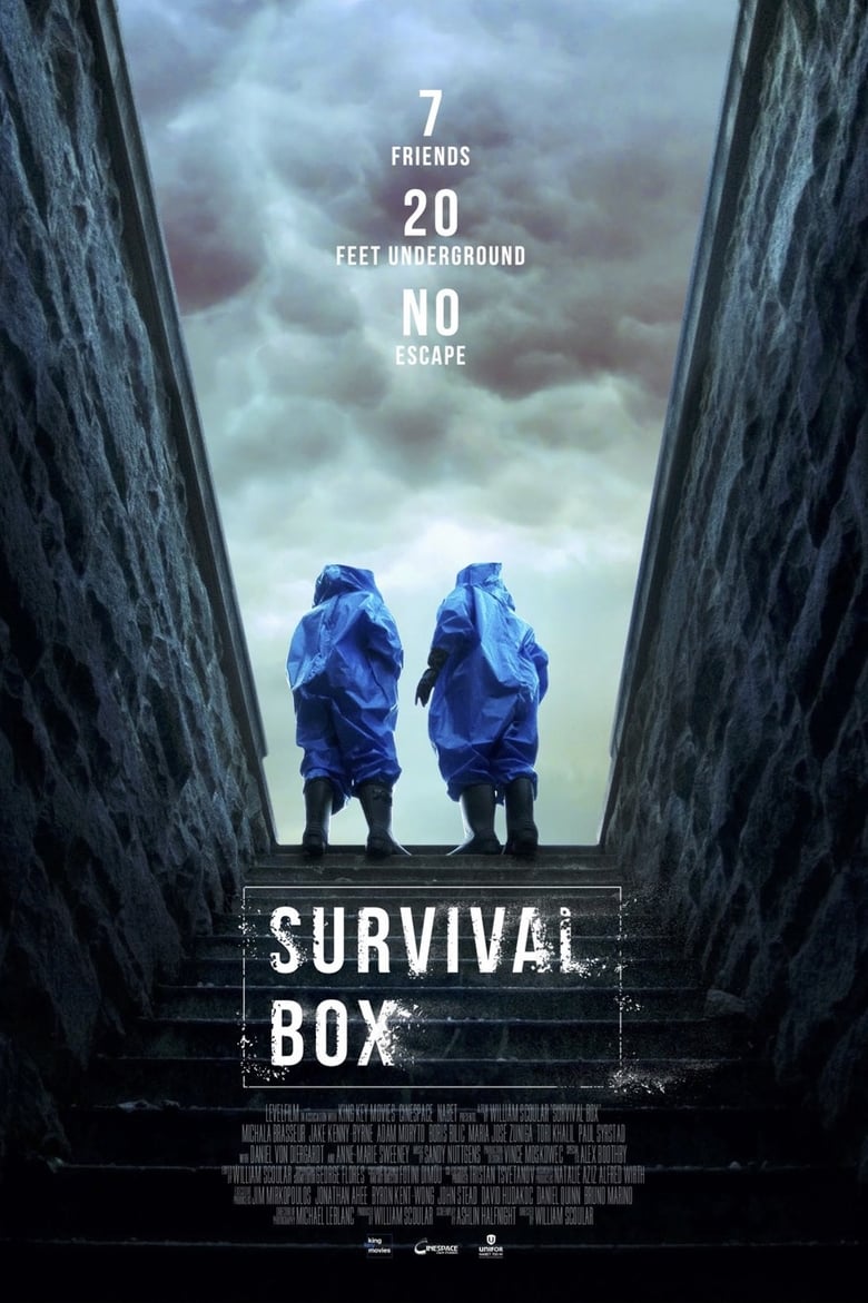 Poster of Survival Box