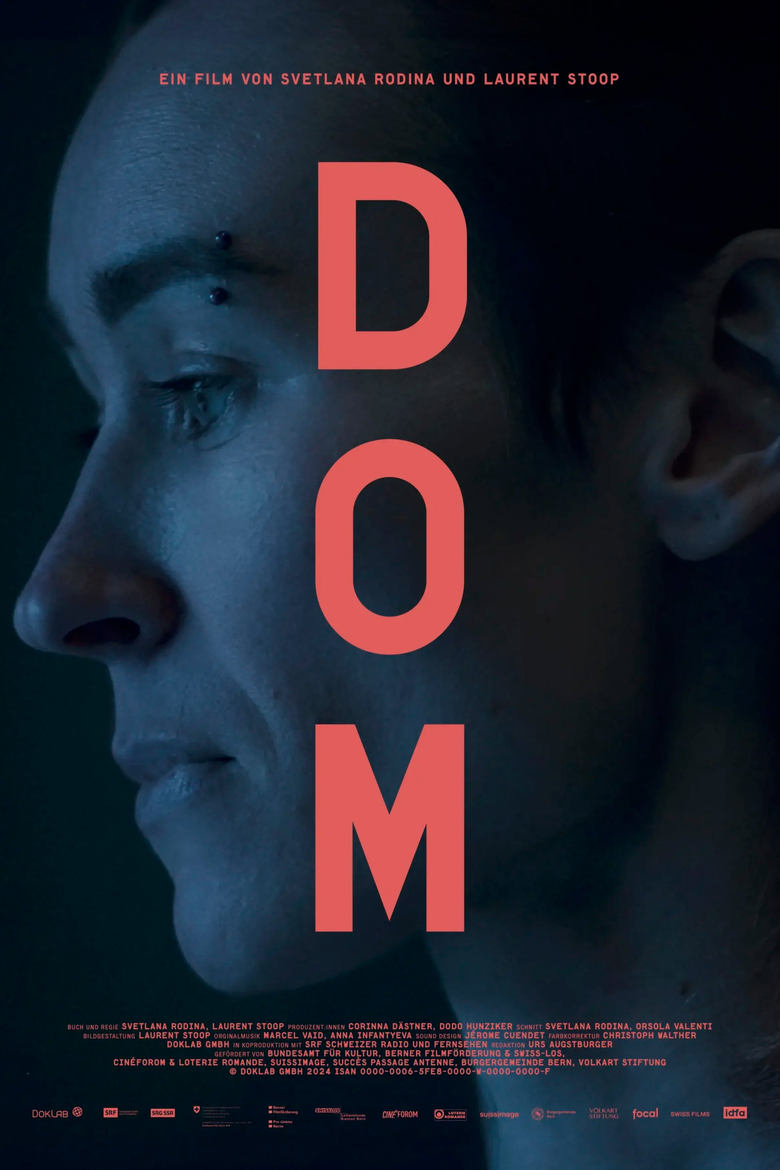 Poster of Dom (Home in Russian)