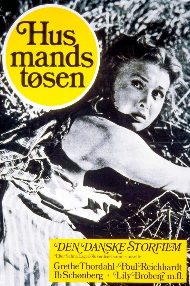 Poster of Husmandstøsen