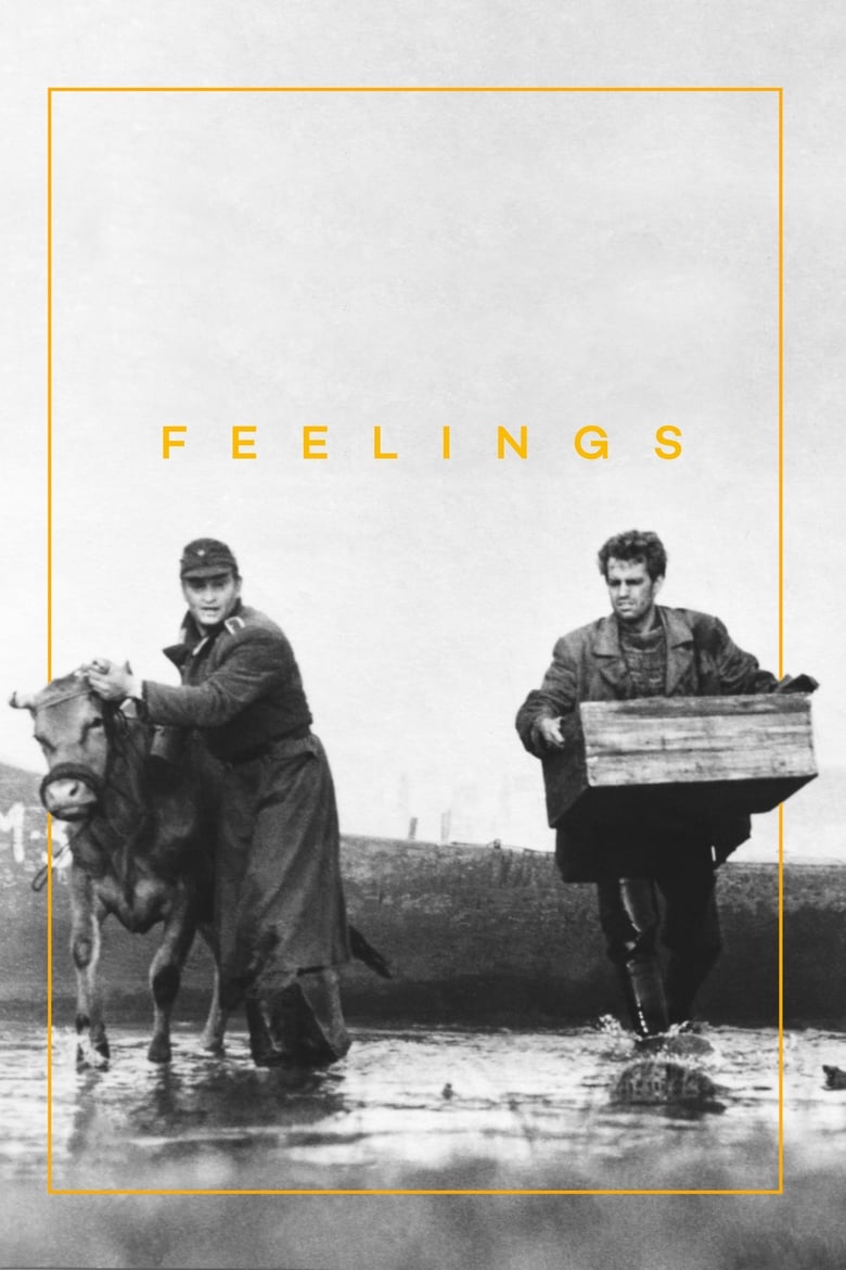 Poster of Feelings