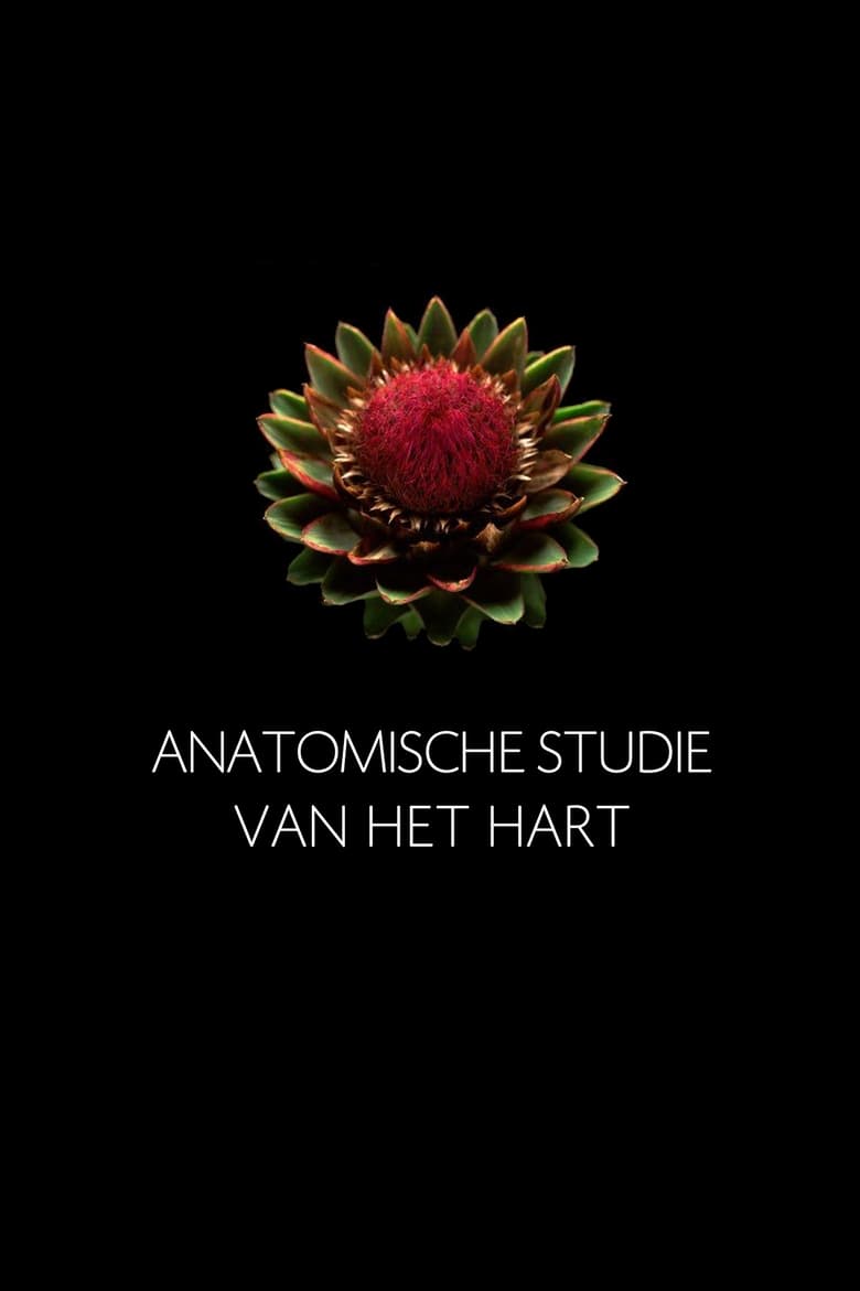 Poster of Anatomische Studie van het Hart