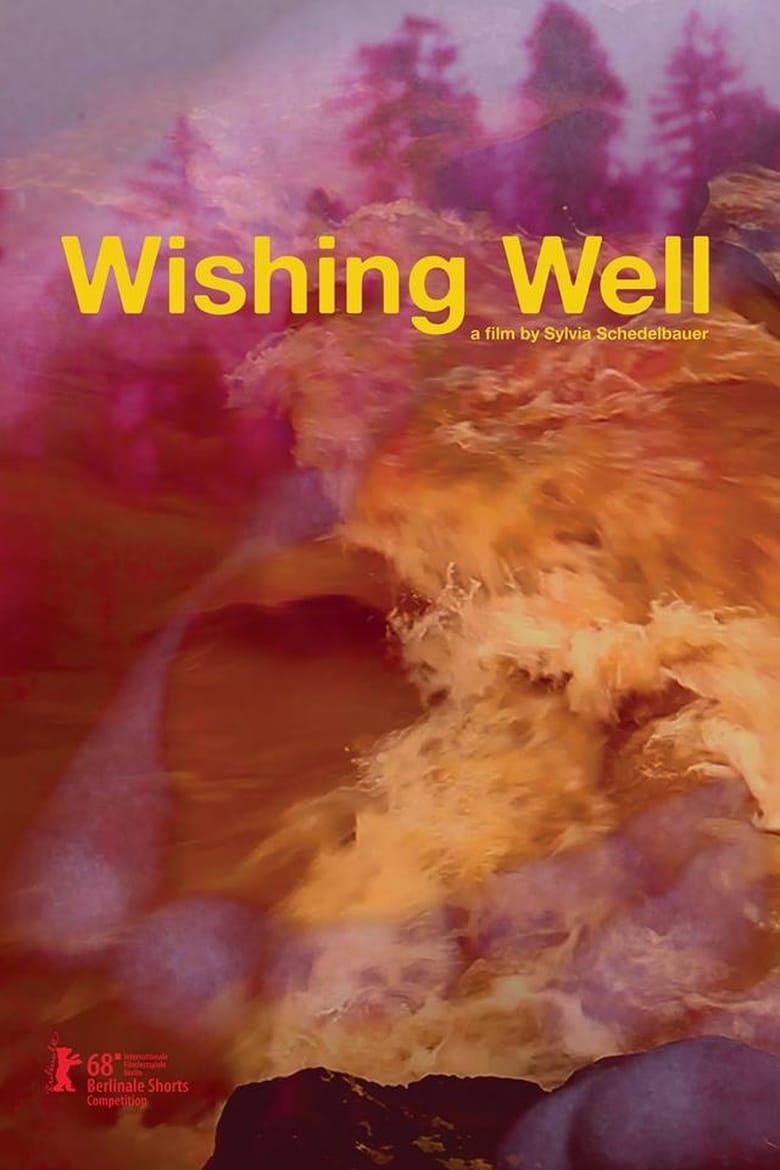 Poster of Wishing Well