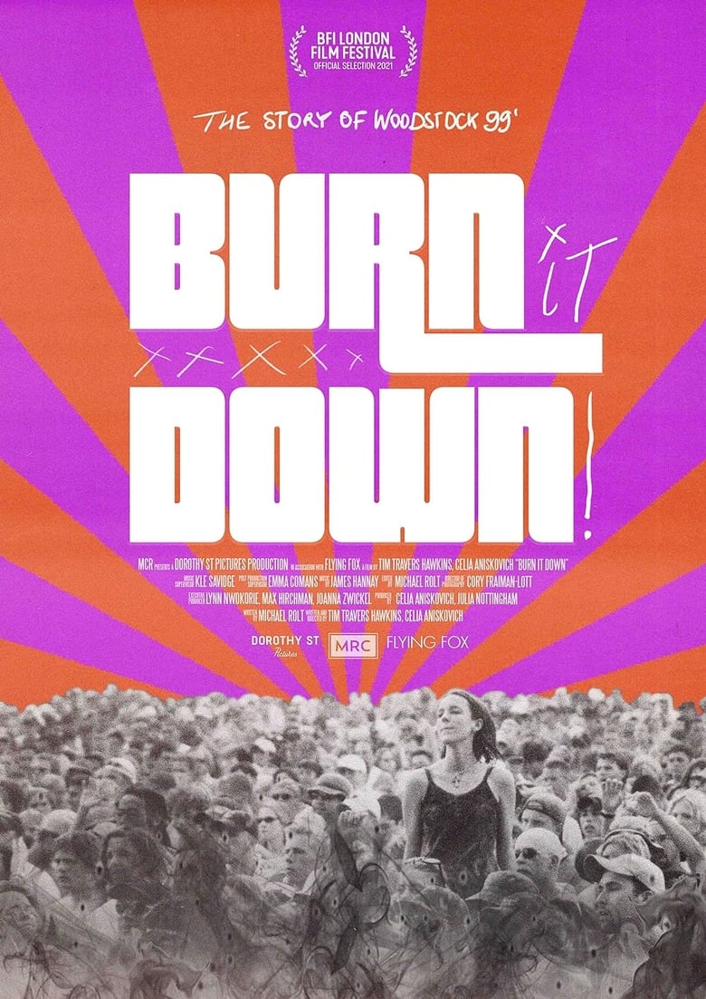 Poster of BURN IT DOWN!