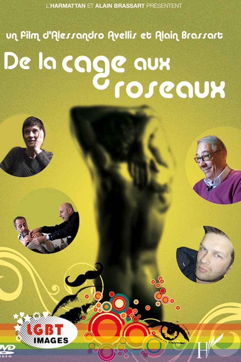 Poster of De la cage aux roseaux