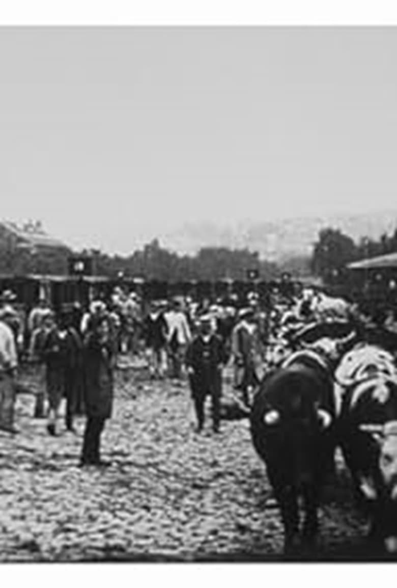 Poster of Marché aux boeufs, I