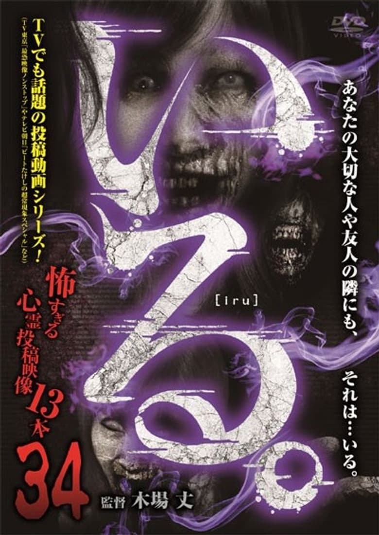 Poster of 「Iru.」~ Kowasugiru Tōkō Eizō 13-hon ~ Vol.34