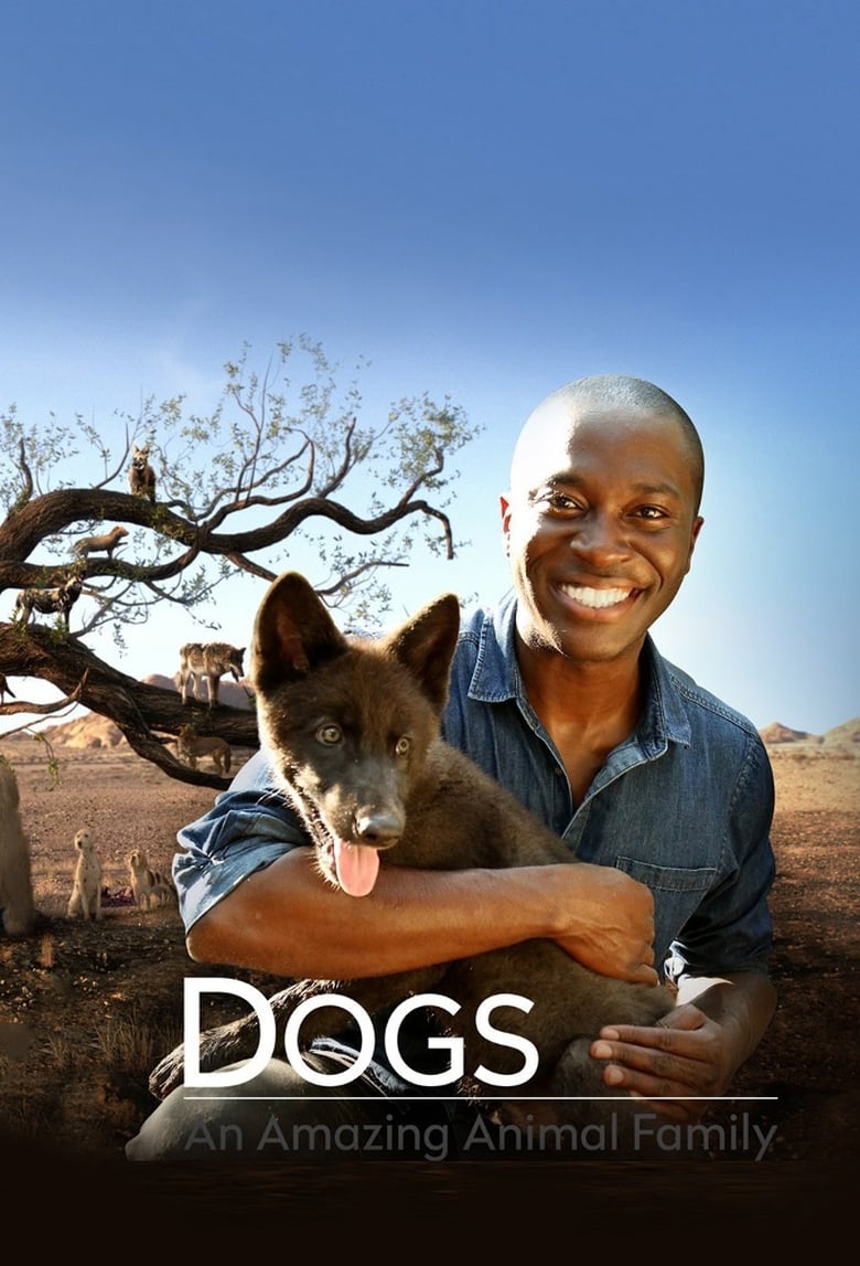 Poster of Dogs  An Amazing Animal Family - Season 1 - Episode 3 - Episode 3