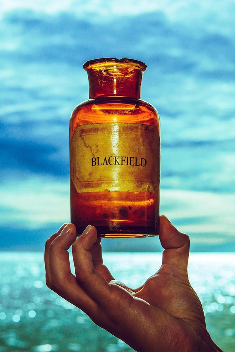 Poster of Blackfield V