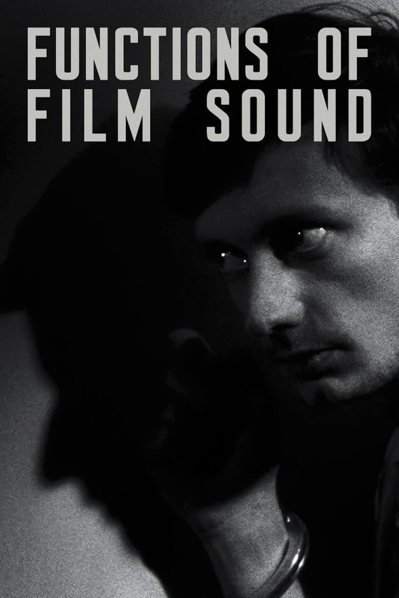 Poster of Functions of Film Sound