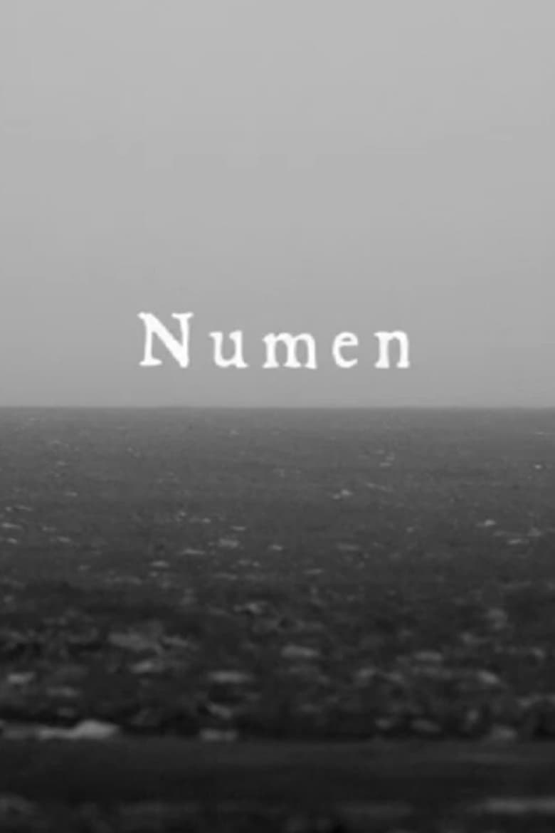 Poster of Numen