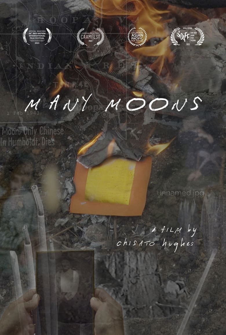 Poster of Many Moons