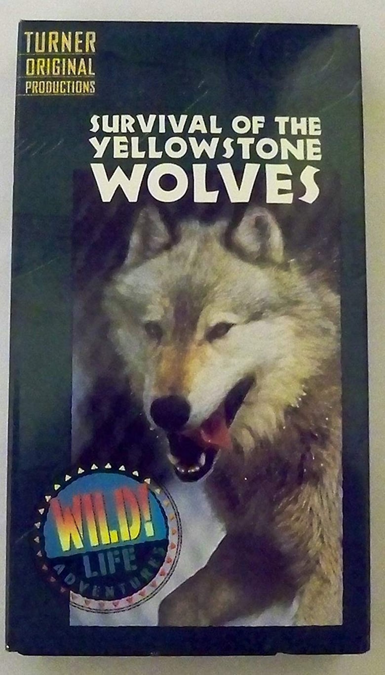 Poster of Survival of the Yellowstone Wolves