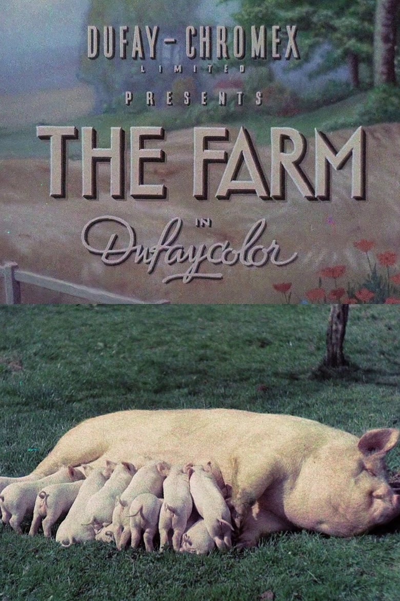 Poster of The Farm