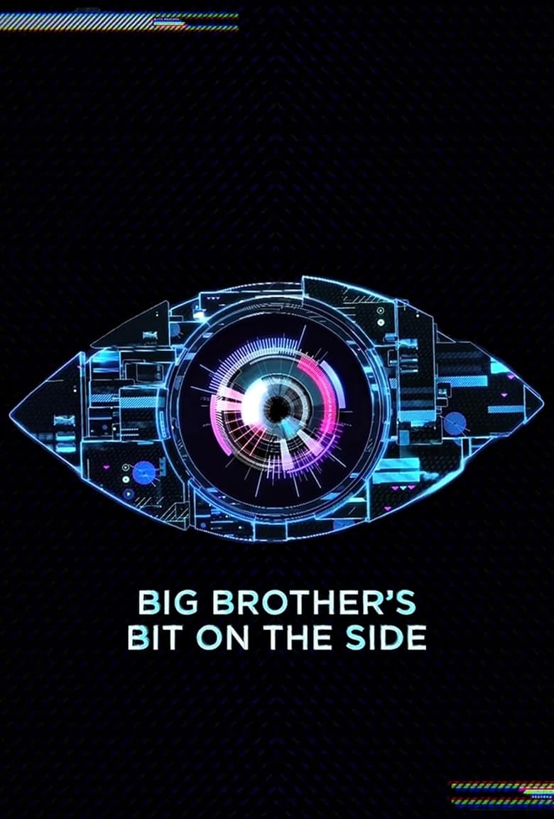 Poster of Big Brother's Bit on the Side