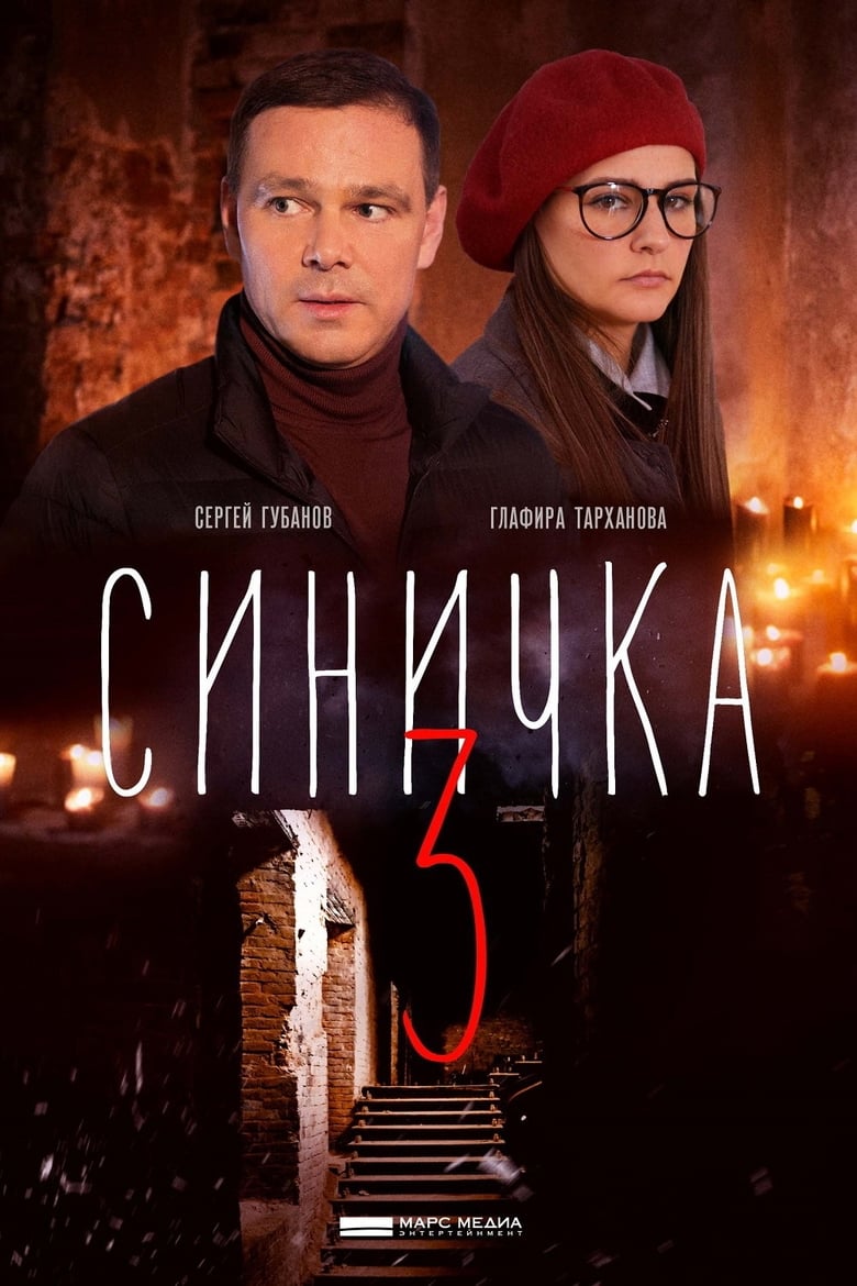 Poster of Синичка 3