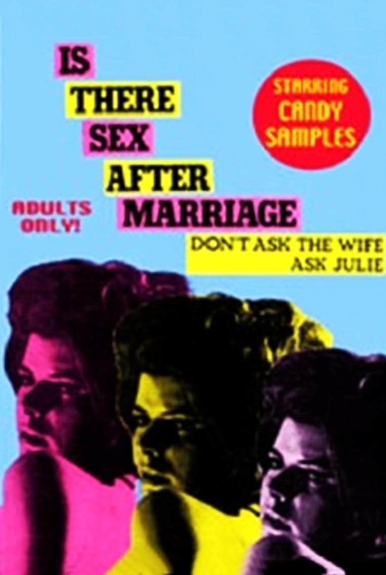 Poster of Is There Sex After Marriage