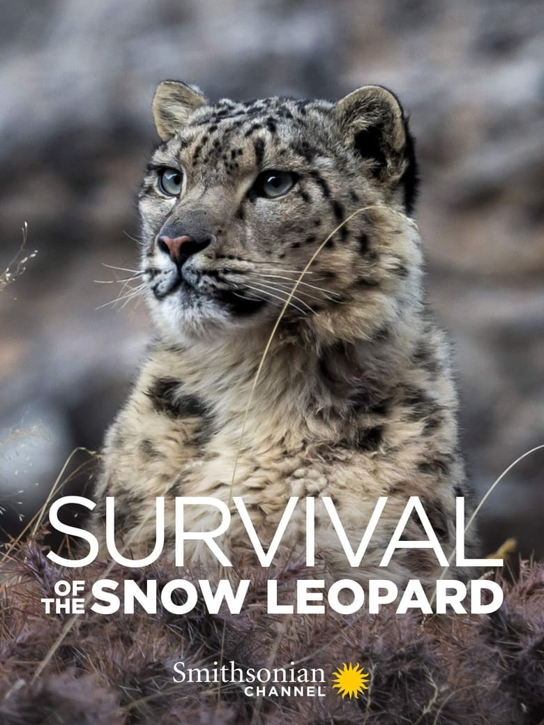 Poster of Survival Of The Snow Leopard