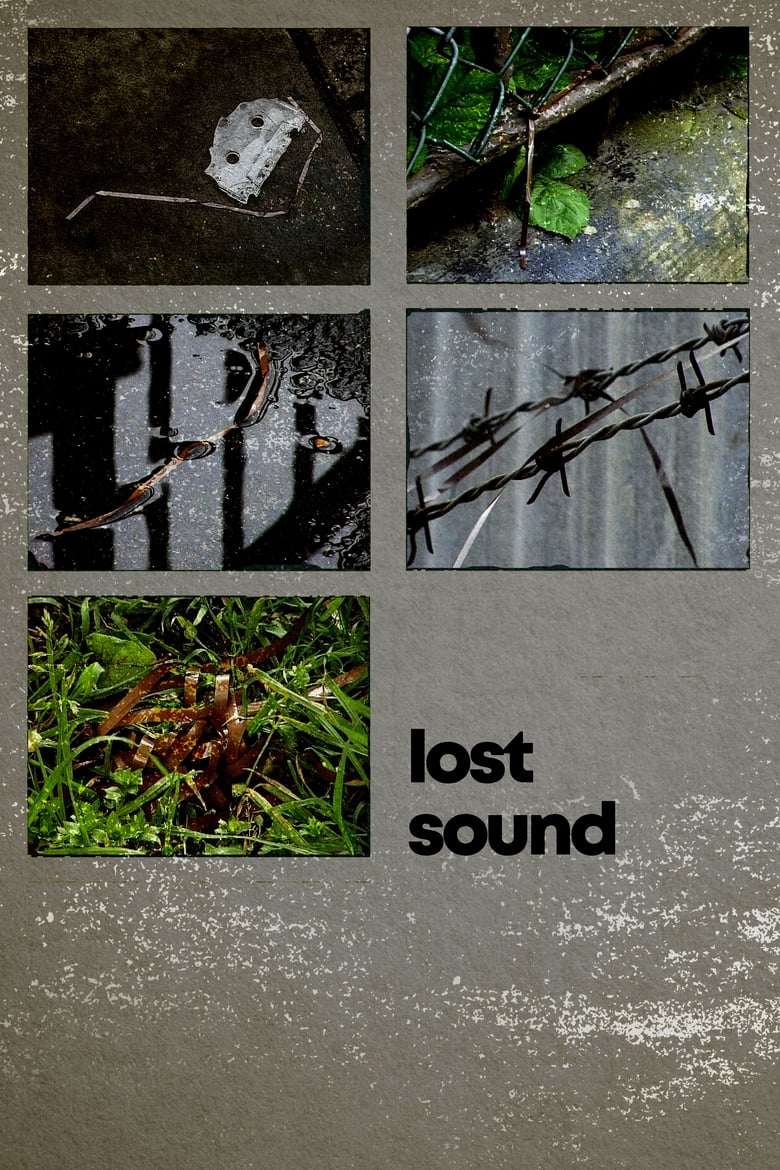 Poster of Lost Sound